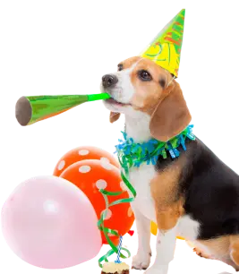 Cumpleanos